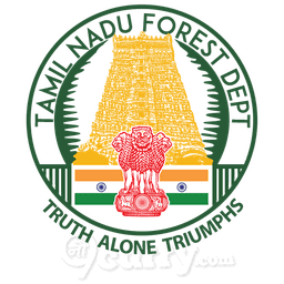 Tamil Nadu Forest