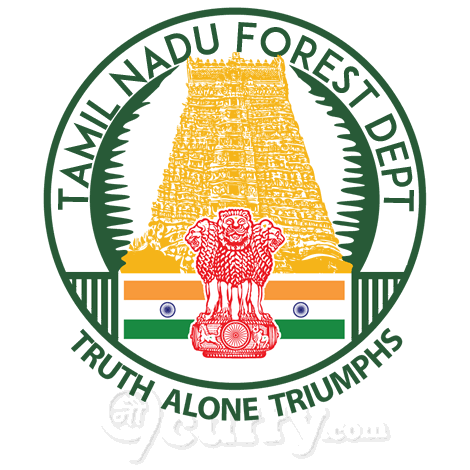 Tamil Nadu Forest